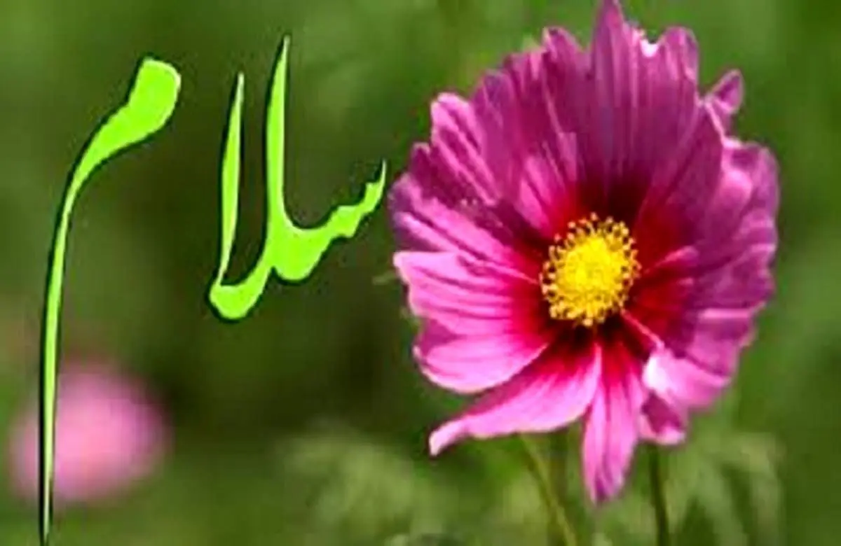 دارالسلام و انواع سلام‌هایی که نثار بهشتیان می‌کند