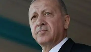 اقدام دولت فرانسه داد اردوغان را درآورد