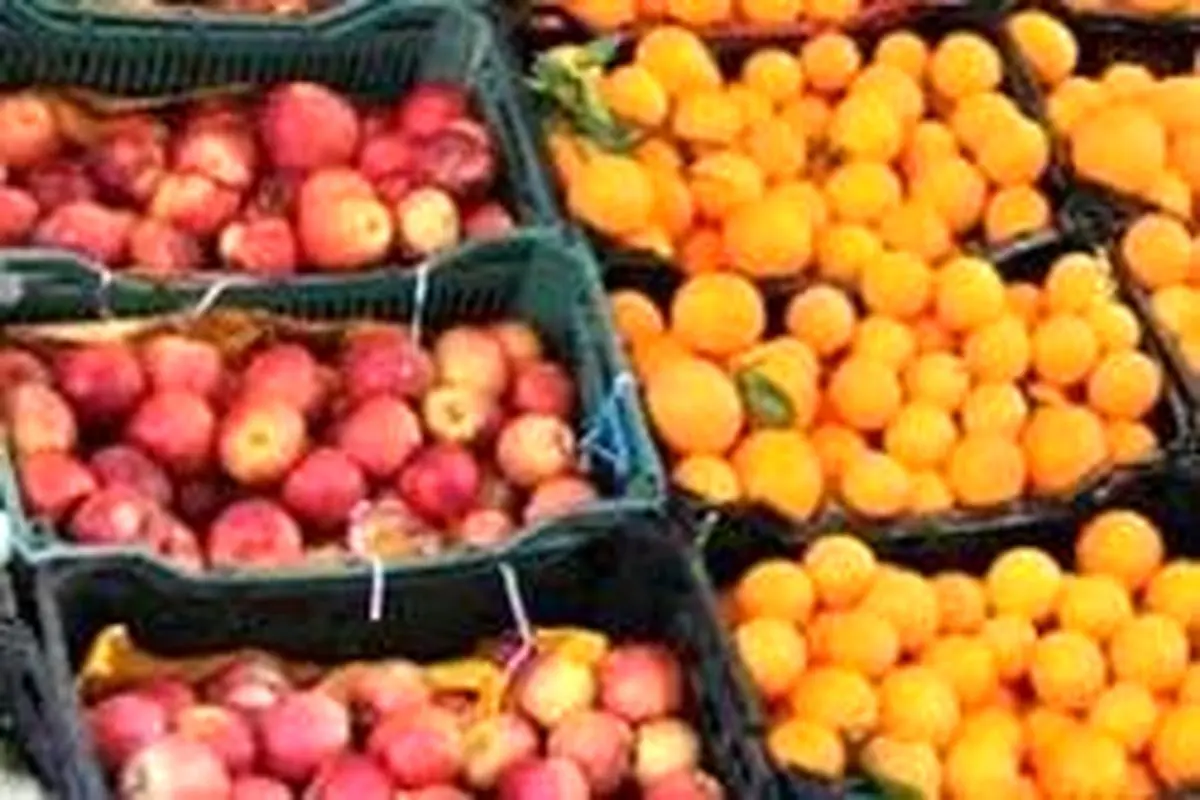 صادرات سیب و پرتقال از سر گرفته شد