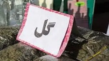 هشدار درباره افزایش مصرف گل