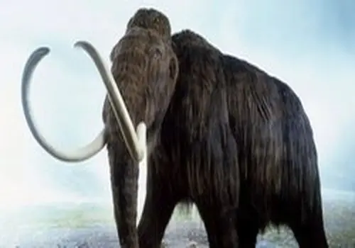 کشف سکونتگاه‌های باستانی از استخوان ماموت + عکس