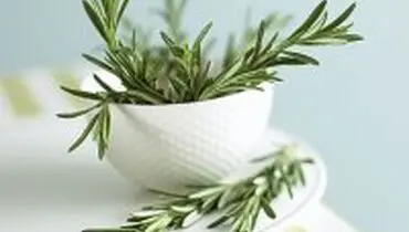 ۱۱ نسخه گیاهی برای مغز!