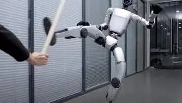 ربات رزمی‌کار استادش را غافلگیر کرد +فیلم