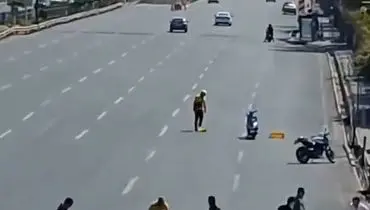 ویدیوی پربازدید کمک به جوجه‌اردک‌ها؛ نمادی از مهربانی در فضای مجازی + فیلم