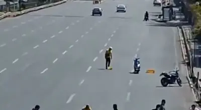 ویدیوی پربازدید کمک به جوجه‌اردک‌ها؛ نمادی از مهربانی در فضای مجازی + فیلم