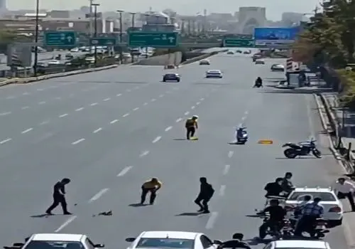 ویدیوی پربازدید کمک به جوجه‌اردک‌ها؛ نمادی از مهربانی در فضای مجازی + فیلم
