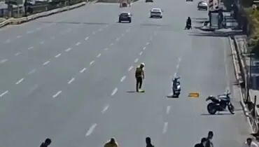 ویدیوی پربازدید کمک به جوجه‌اردک‌ها؛ نمادی از مهربانی در فضای مجازی + فیلم
