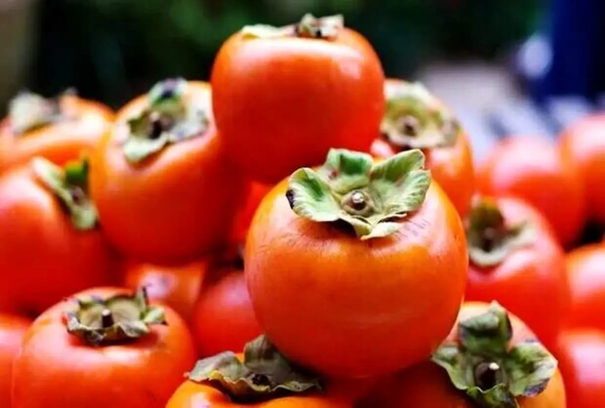 این میوه سرشار از آنتی اکسیدان بادیگارد چشم شماست