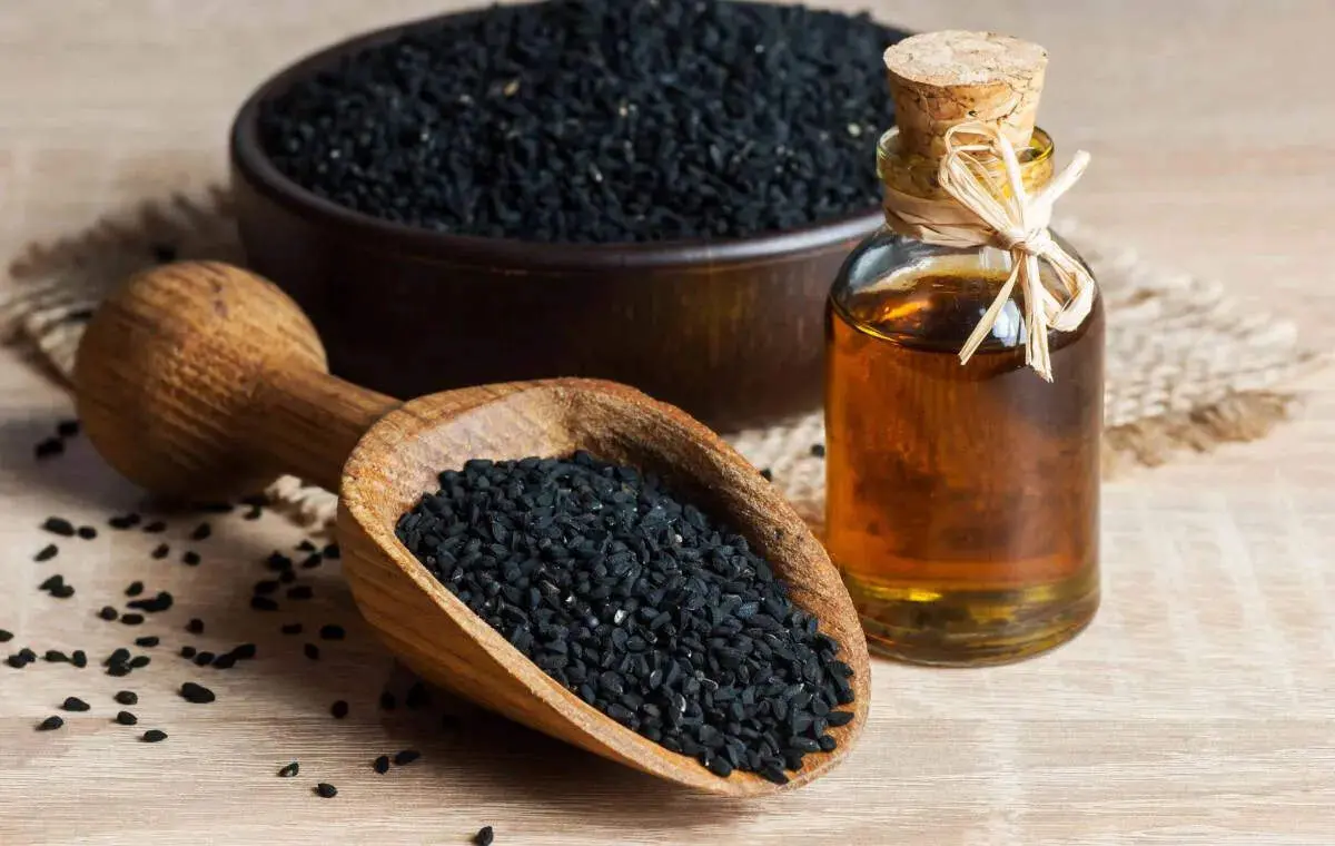 ترفندهای تشخیص روغن سیاه‌دانه اصل؛ مراقب نمونه‌های تقلبی باشید