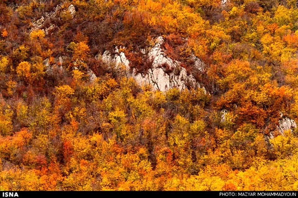 عکس/ برگریزان پاییزی در آبشار کبودوال