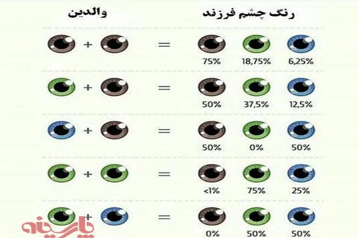 عکس:فرمول رنگ چشم والدین و فرزند