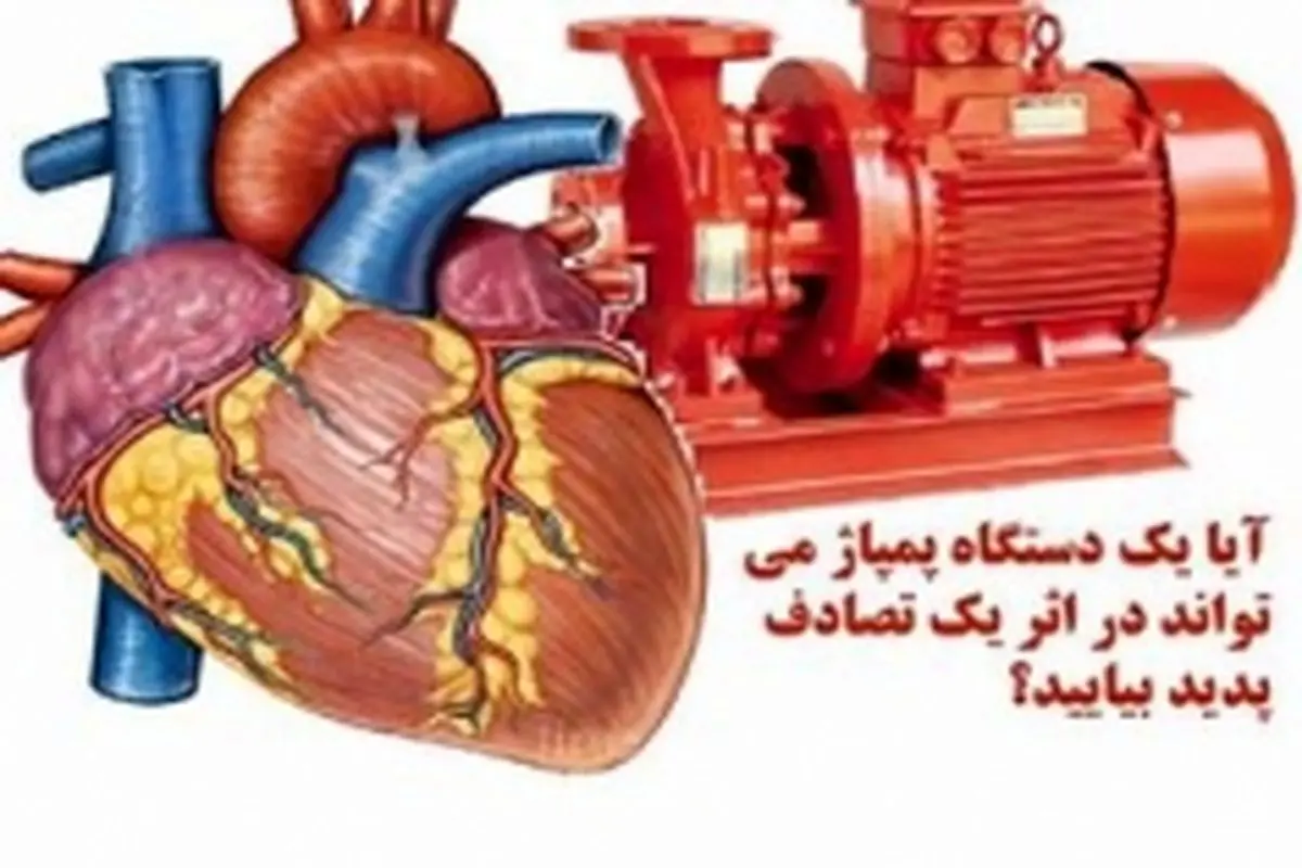 قلب یکی از پیچیده ترین و شگفت انگیز ترین اندام های بدن