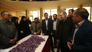 عکس/ بساط زعفران در مجلس!