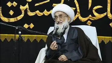 آیت الله نوری همدانی: دریافت دیرکرد حرام و رباخواری است