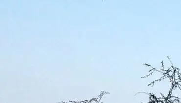 تصاویری از سقوط جنگنده بحرینی در خاک عربستان