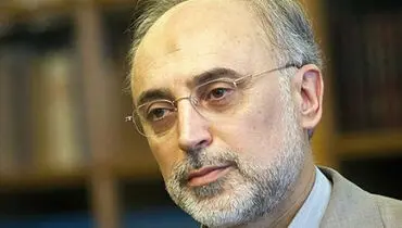 پرونده ایران در آژانس مثل یک کشور عادی است