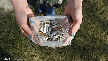 عکس: پاکسازی پارک‌های مشهد از ته سیگار