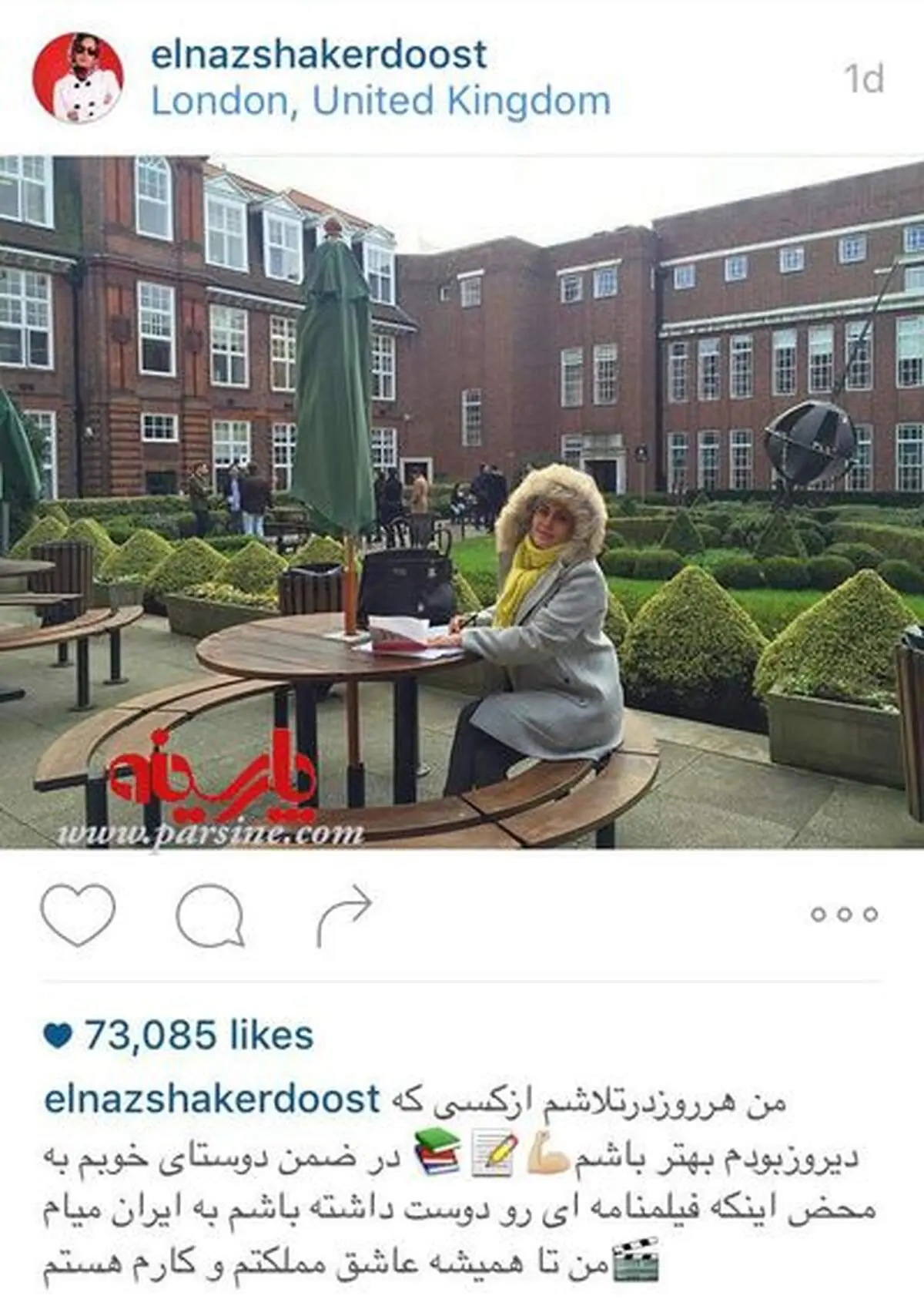 از الناز شاکردوست چه خبر؟