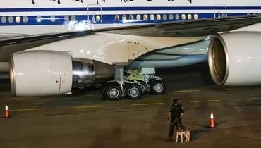 عکس/ سگ بمب یاب کنار هواپیمای رییس جمهور چین در مهرآباد