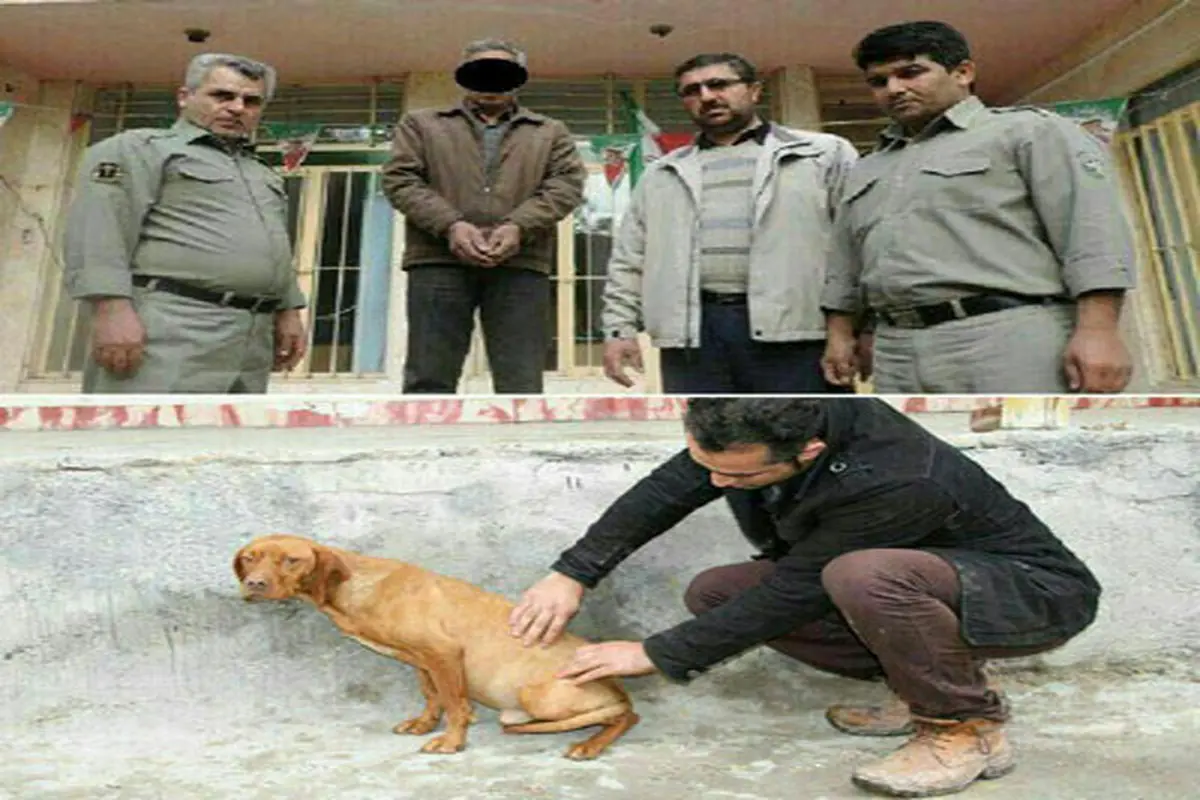 بازداشت عامل حیوان‌ آزاری دردناک+عکس