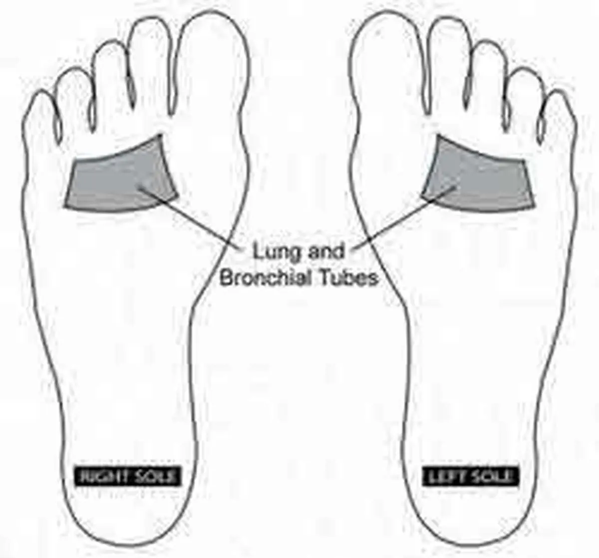 آموزش تصویری 5نوع ماساژ