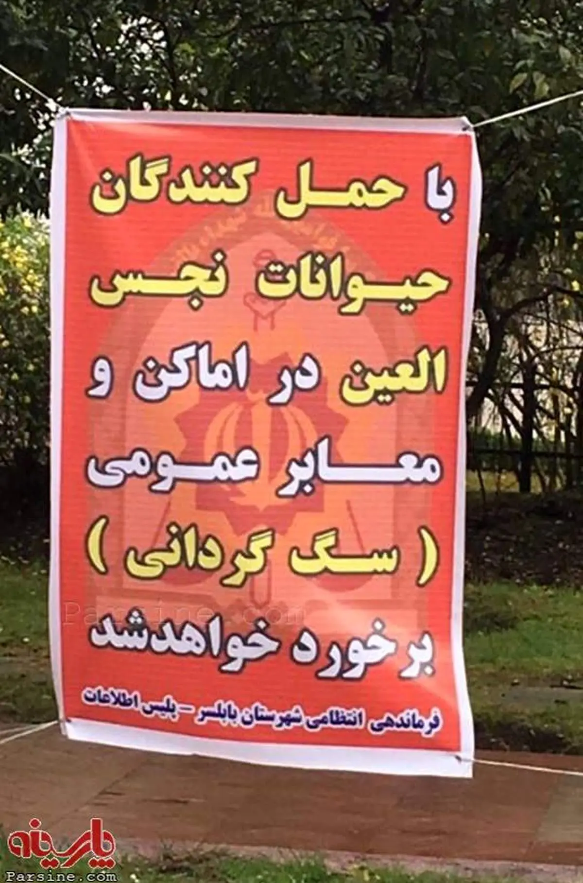 اطلاعیه پلیس بابلسر درباره سگ گردانی