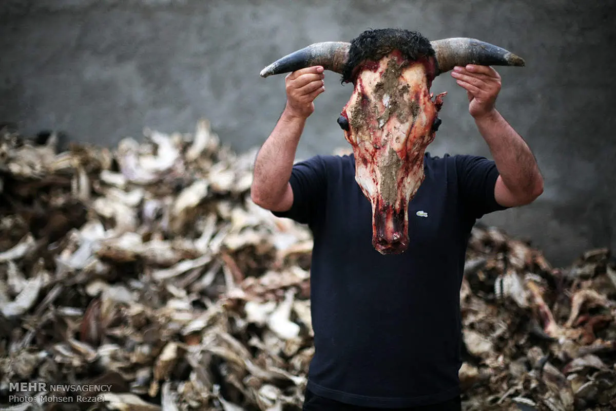 عکس: وضعیت دردناک بهداشت و سلامت در سیستان