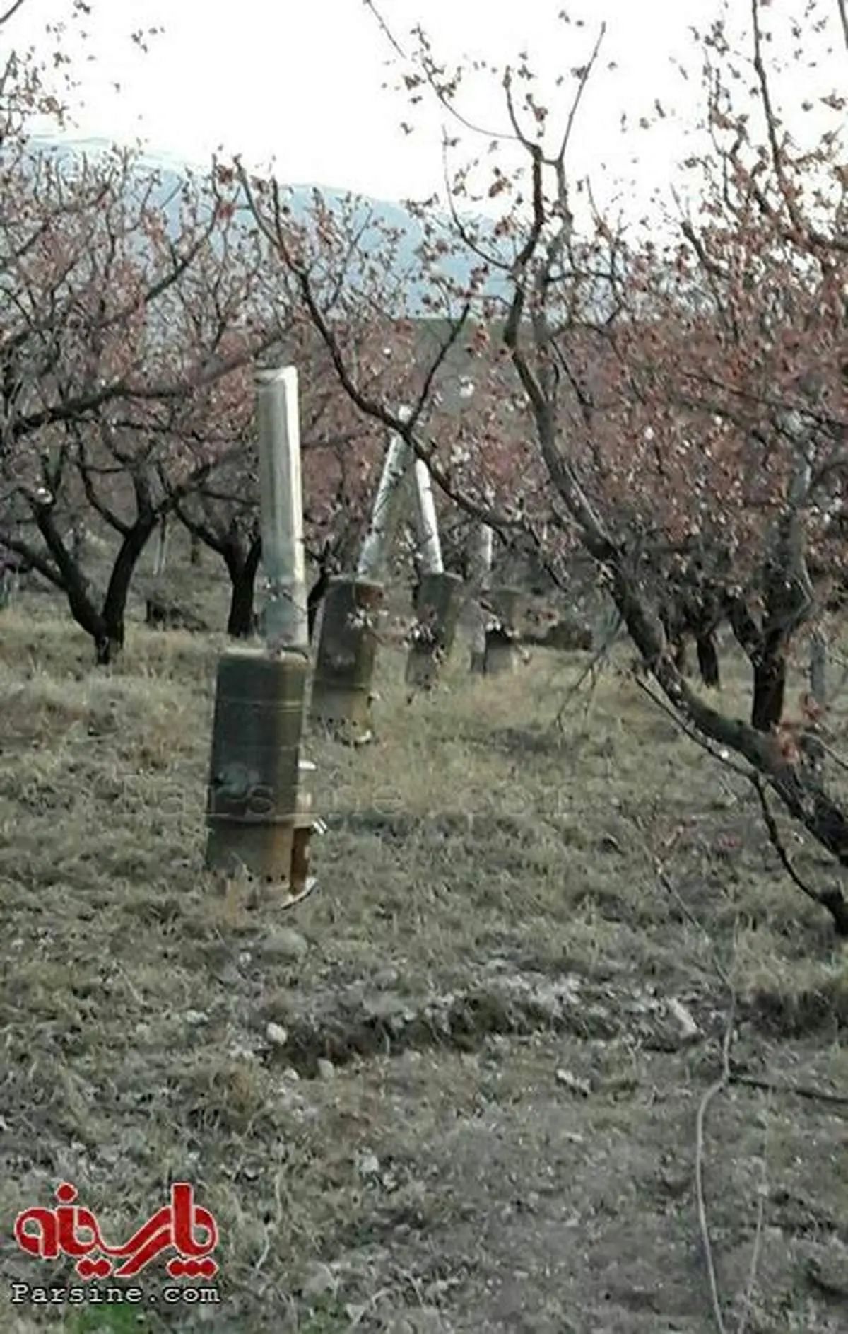نصب بخاری در باغ برای جلوگیری از سرمازدگی!
