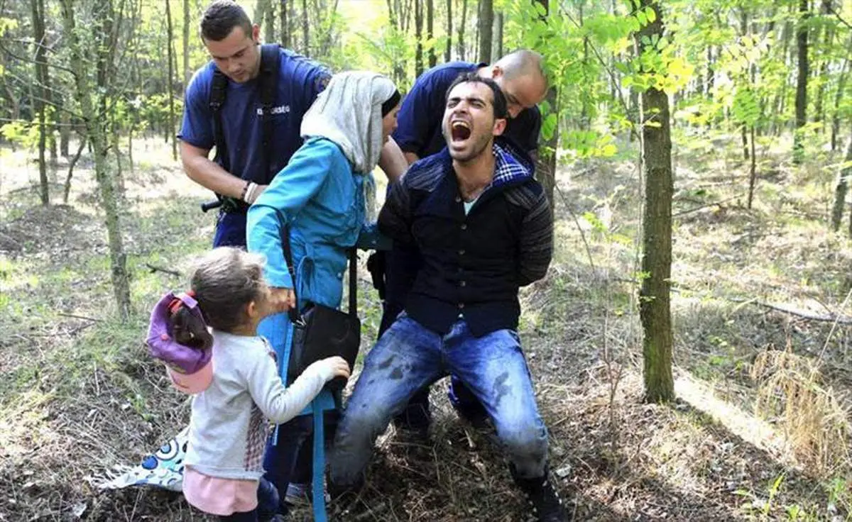 "ایرانی ها" با سوادترین پناهجویان به "آلمان"!