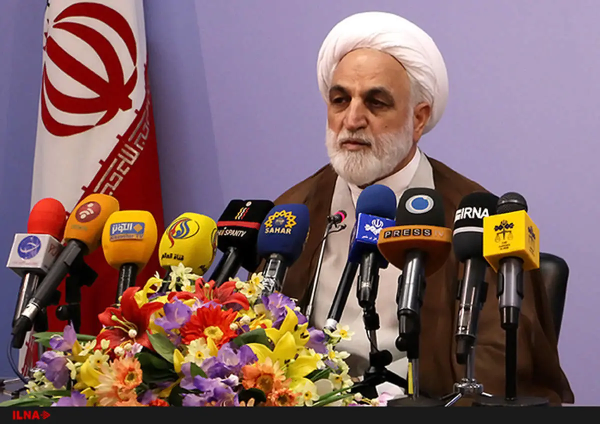 توضیح سخنگوی قوه قضاییه در مورد لغو کنسرتها