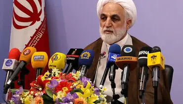 توضیح سخنگوی قوه قضاییه در مورد لغو کنسرت‌ها