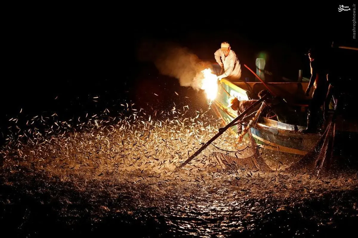 عکس/ ماهیگیری با آتش