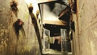 مرگتان در این هتل حتمی است!