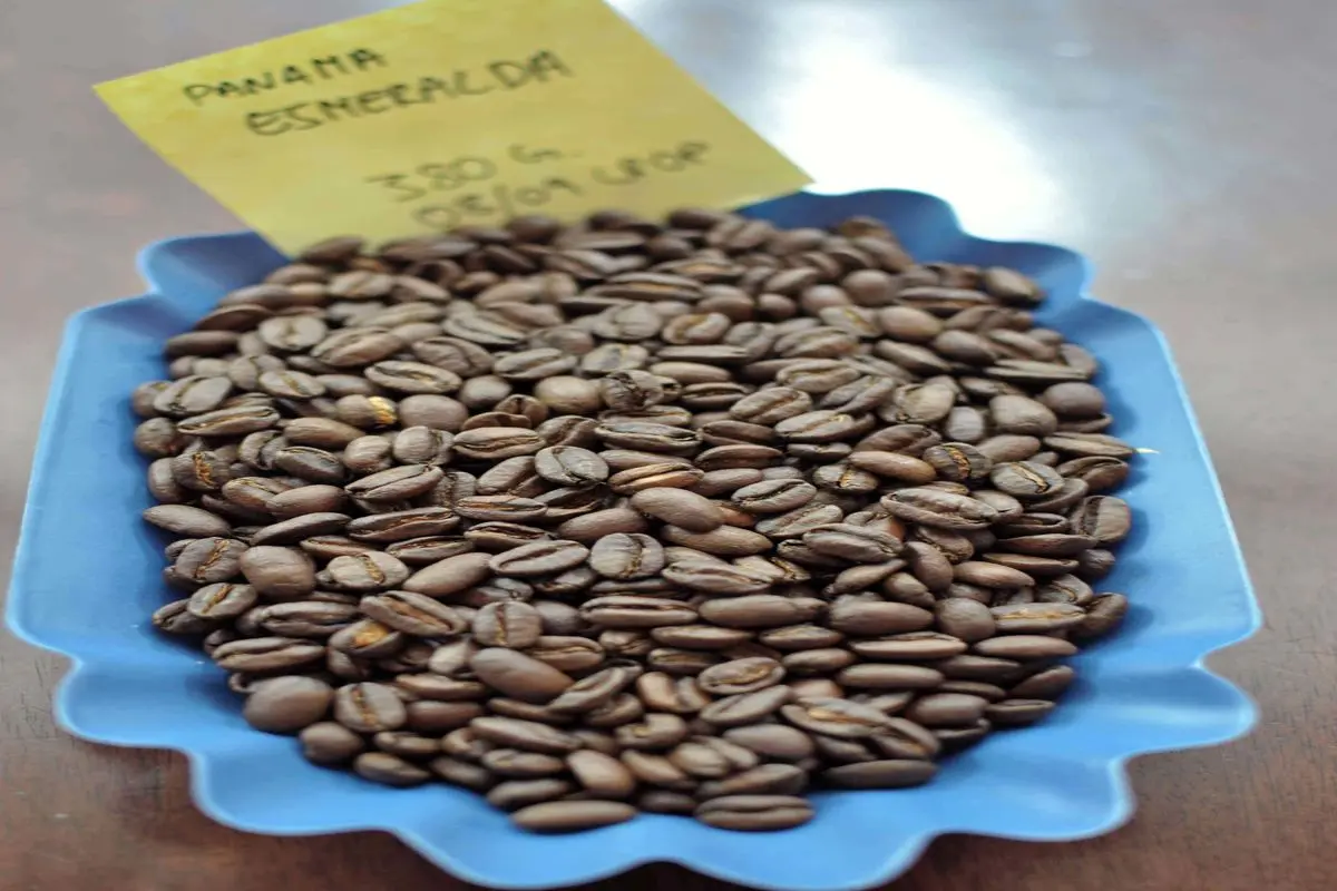 ایران،صادرکننده بالقوه بهترین برند قهوه در جهان