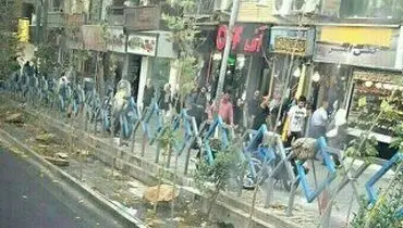 زنده به گورِ بی رحمانه درختان چنار ولیعصر