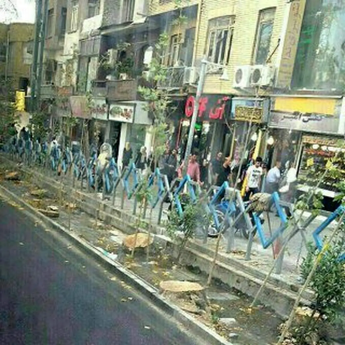 زنده به گورِ بی رحمانه درختان چنار ولیعصر