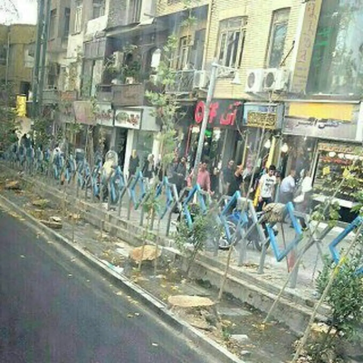 زنده به گورِ بی رحمانه درختان چنار ولیعصر