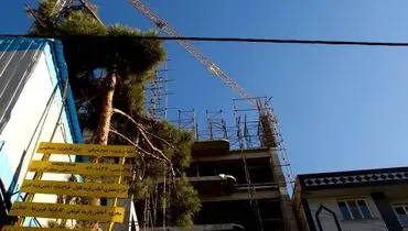 بلند مرتبه سازی شهرداری با پشت کردن به قوانین شهرسازی
