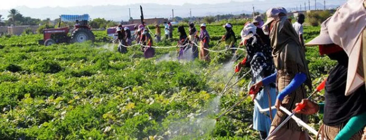 قطب کشاورزی استان تهران غرق در پسماندها
