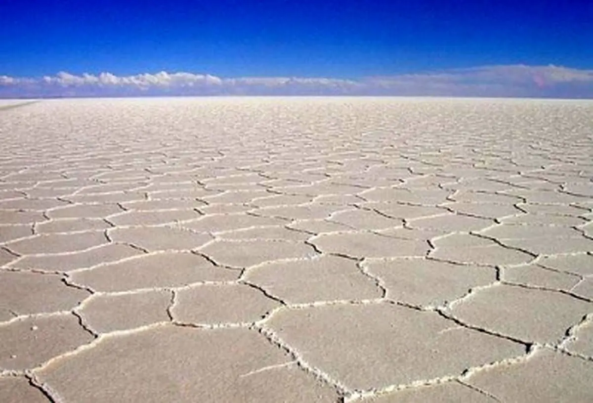 مرگ زندگی در جوار دریاچه نمک قم