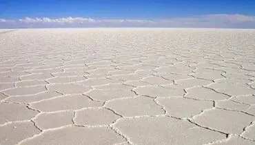 مرگ زندگی در جوار دریاچه نمک قم