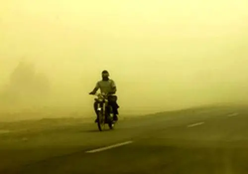 درمان طبیعی بیماری‌های تنفسی با خوراکی‌های ساده و در دسترس