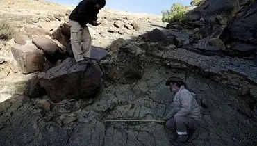 کشف ردپای ۱ متر و ۲۲ سانتیمتری دایناسور در بولیوی