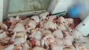 فاجعه در رستوران بین راهی+عکس