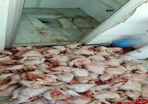 ناهار: طرز تهیه کارمیر پلاو؛ غذای مشهور ارمنی