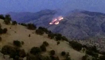 آتش سوزی در جنگل های ایلام