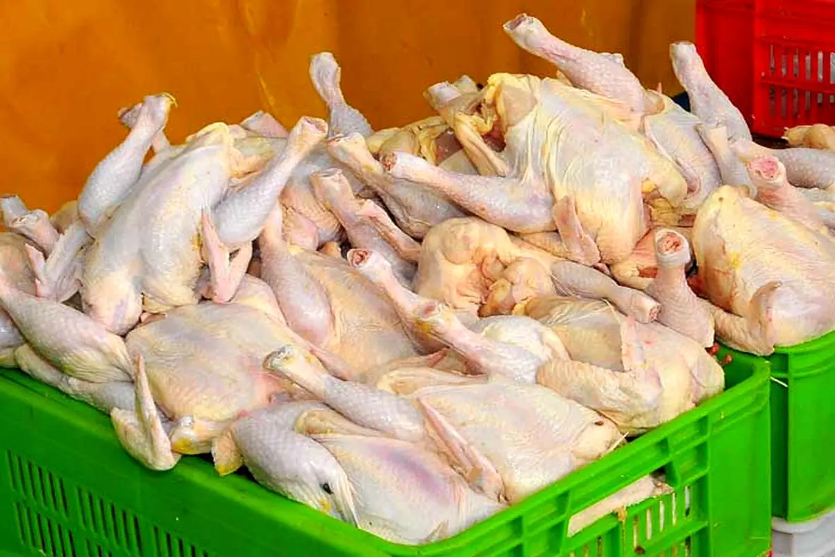 مرغ ۸۰۰۰ تومانی در بازار؛ انکار مسئولان - اصرار مردم
