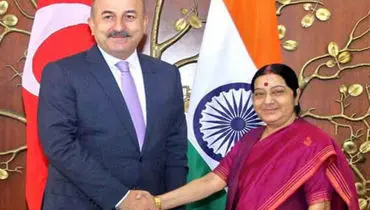 ترکیه از هند خواست از فعالیت مراکز «گولن» جلوگیری کند