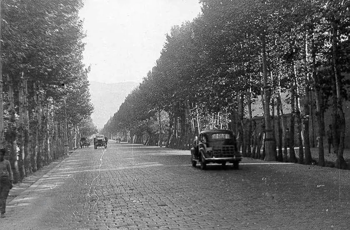 زمانی که خیابان ولیعصر سنگفرش بود