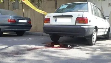 قاتل برادرکٌش: بعد از قتل برادرم، بستنی خوردم